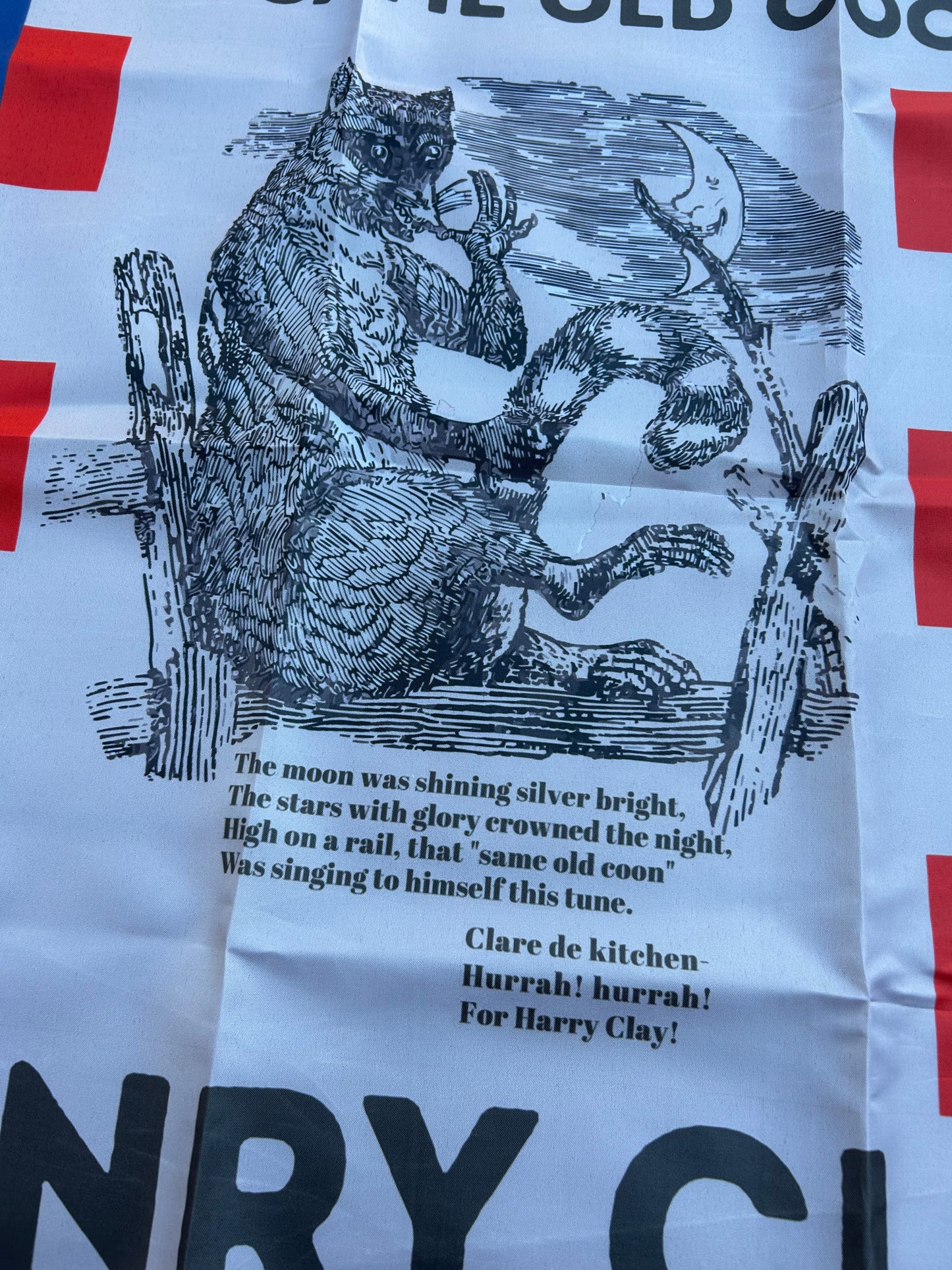 "The Same Old Coon" Henry Clay  1844 Campaign Flag