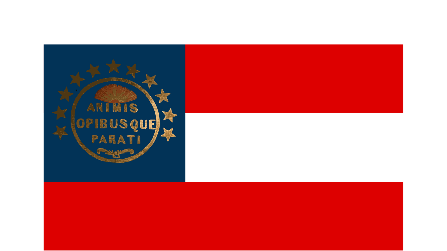 "ANIMIS OPIBUSQUE PARATI" South Carolina First National Flag