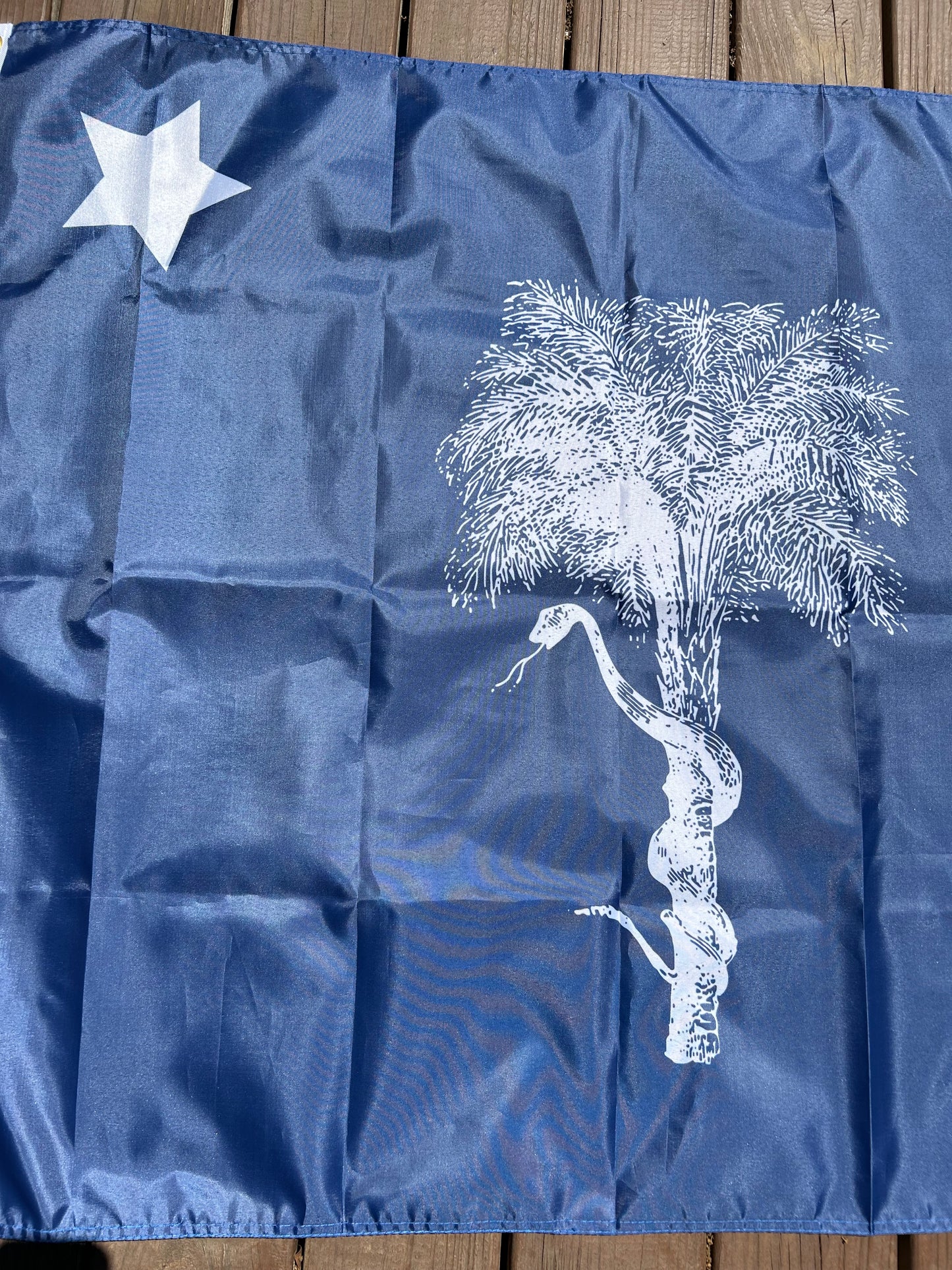 Charleston Arsenal Flag