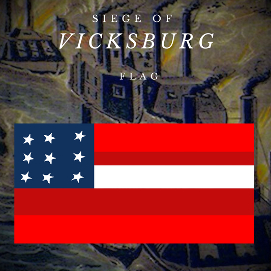 Vicksburg 1st National Flag