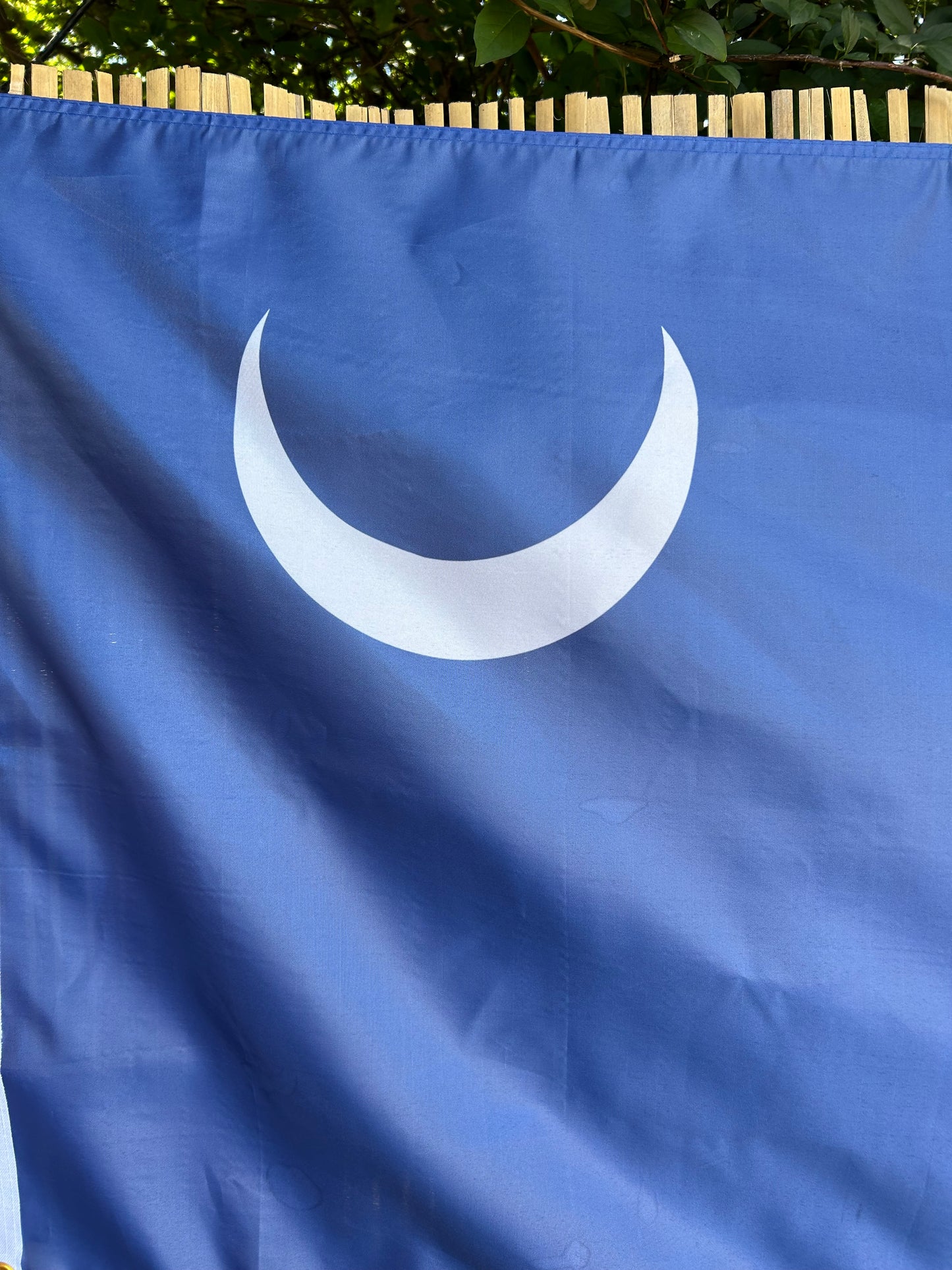 Columbia, South Carolina State Flag