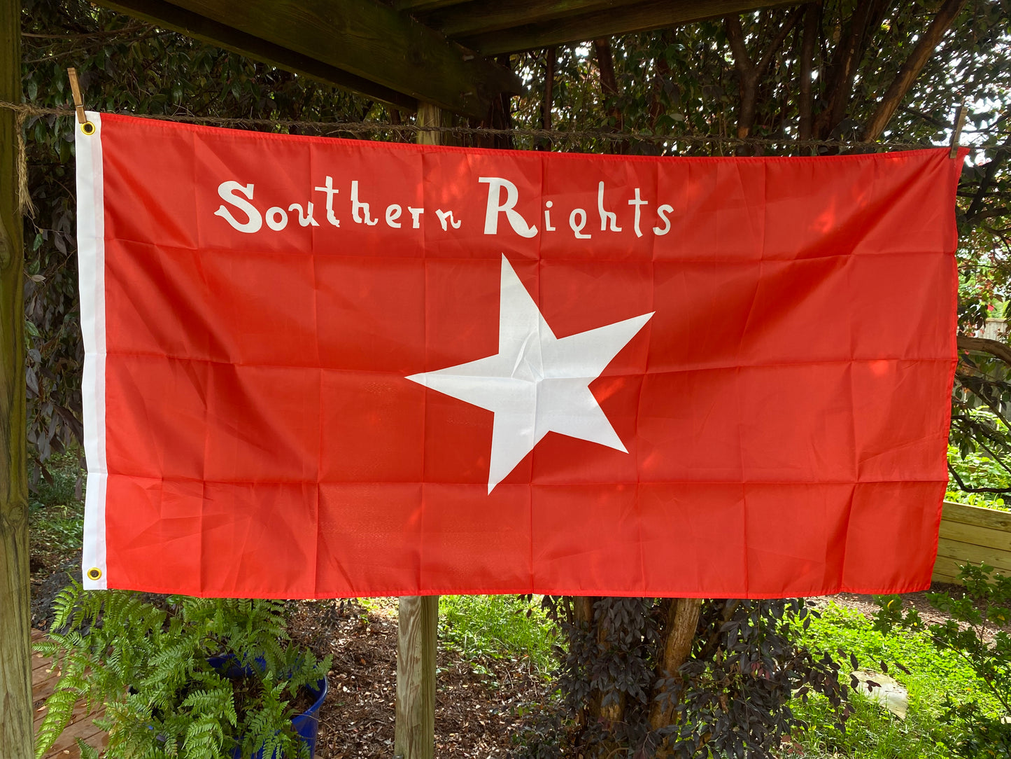 "Southern Rights" - South Carolina Palmetto Guard - Bleeding Kansas Flag
