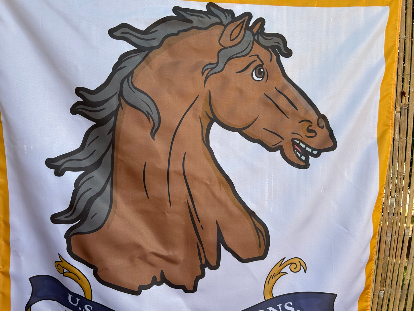Lee's Legion Flag