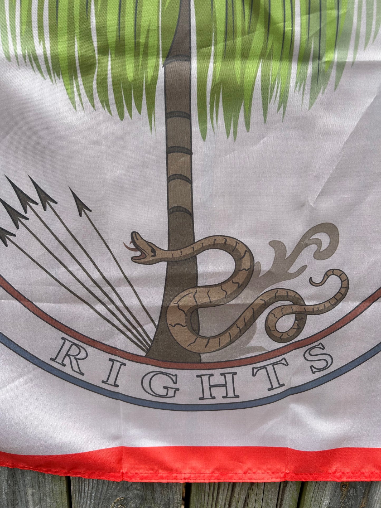 Utica, Missouri Palmetto Secession Flag