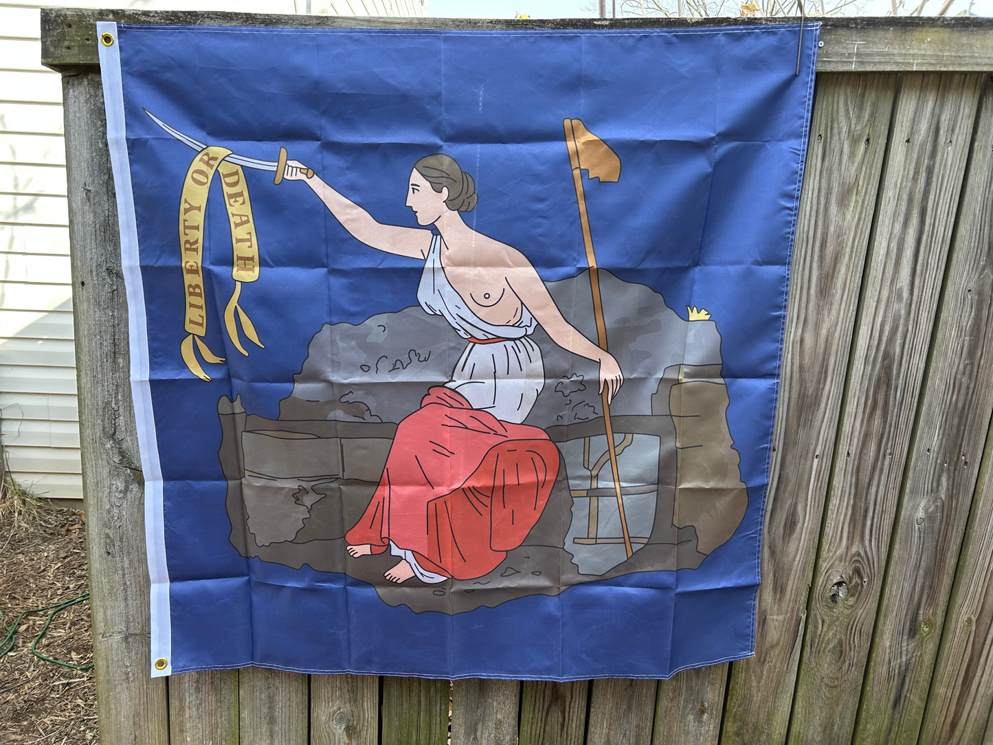 San Jacinto Texas Revoultion Flag