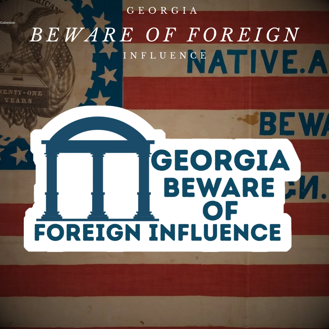 "Georgia Beware of Foreign Influence" Sticker/Magnet