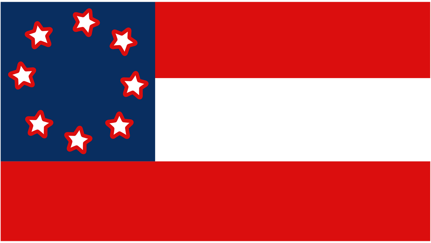 10th Georgia Infantry House Flag