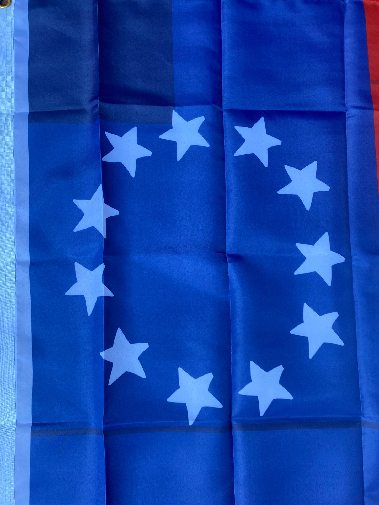 Fort McAllister 1st National House Flag