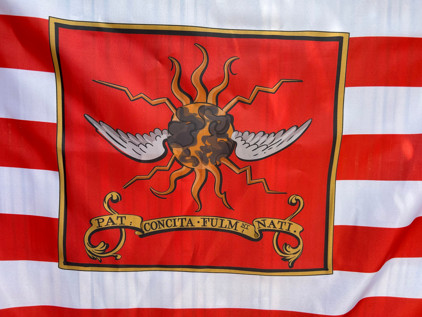 2nd Continental Light Dragoons 1779 Flag