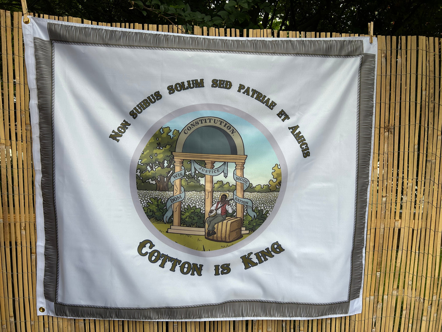 1st Georgia Volunteers - Southern Guards - Company D Flag