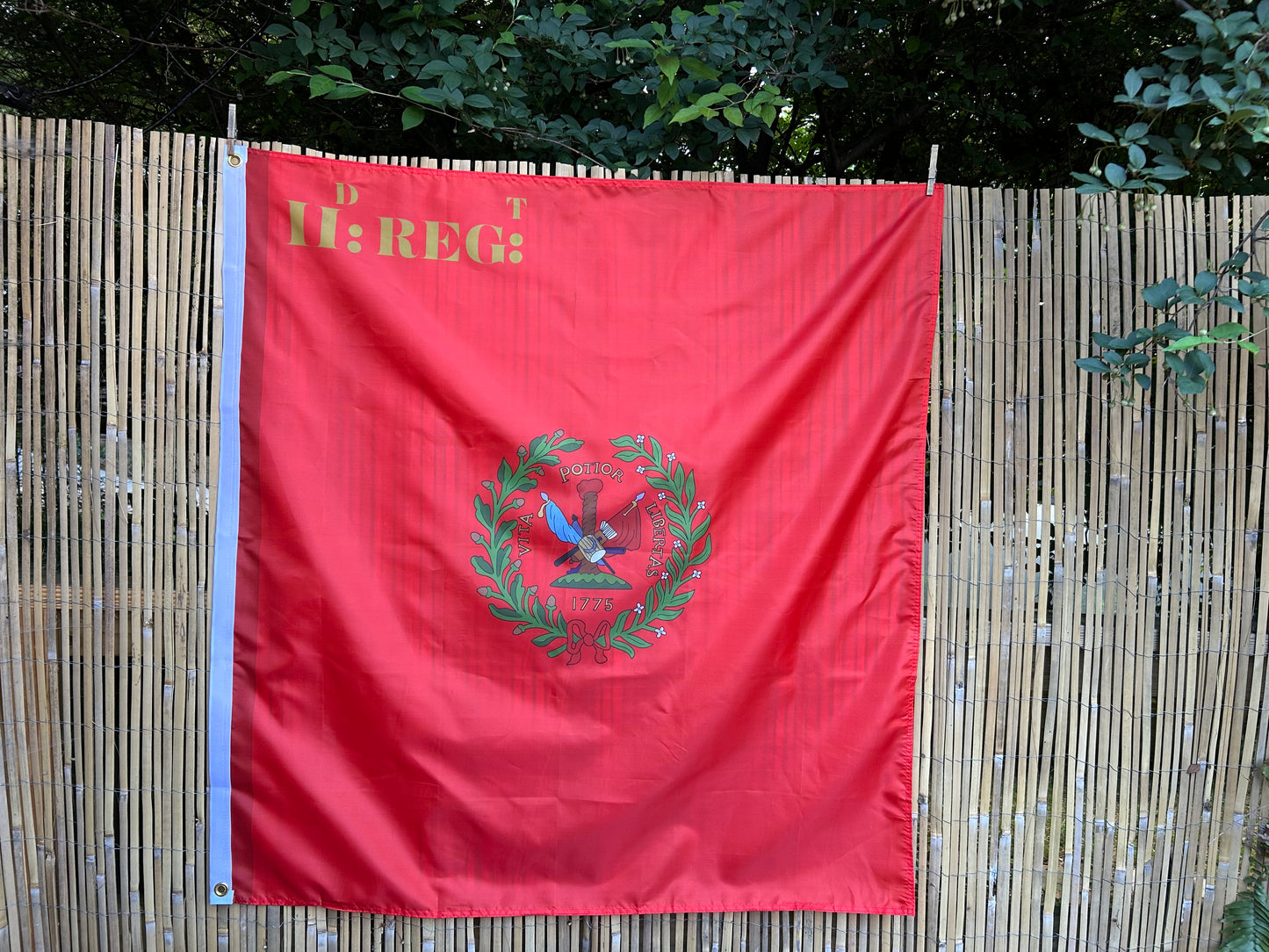 "Liberty rather than life" - 2nd South Carolina Regiment Flag