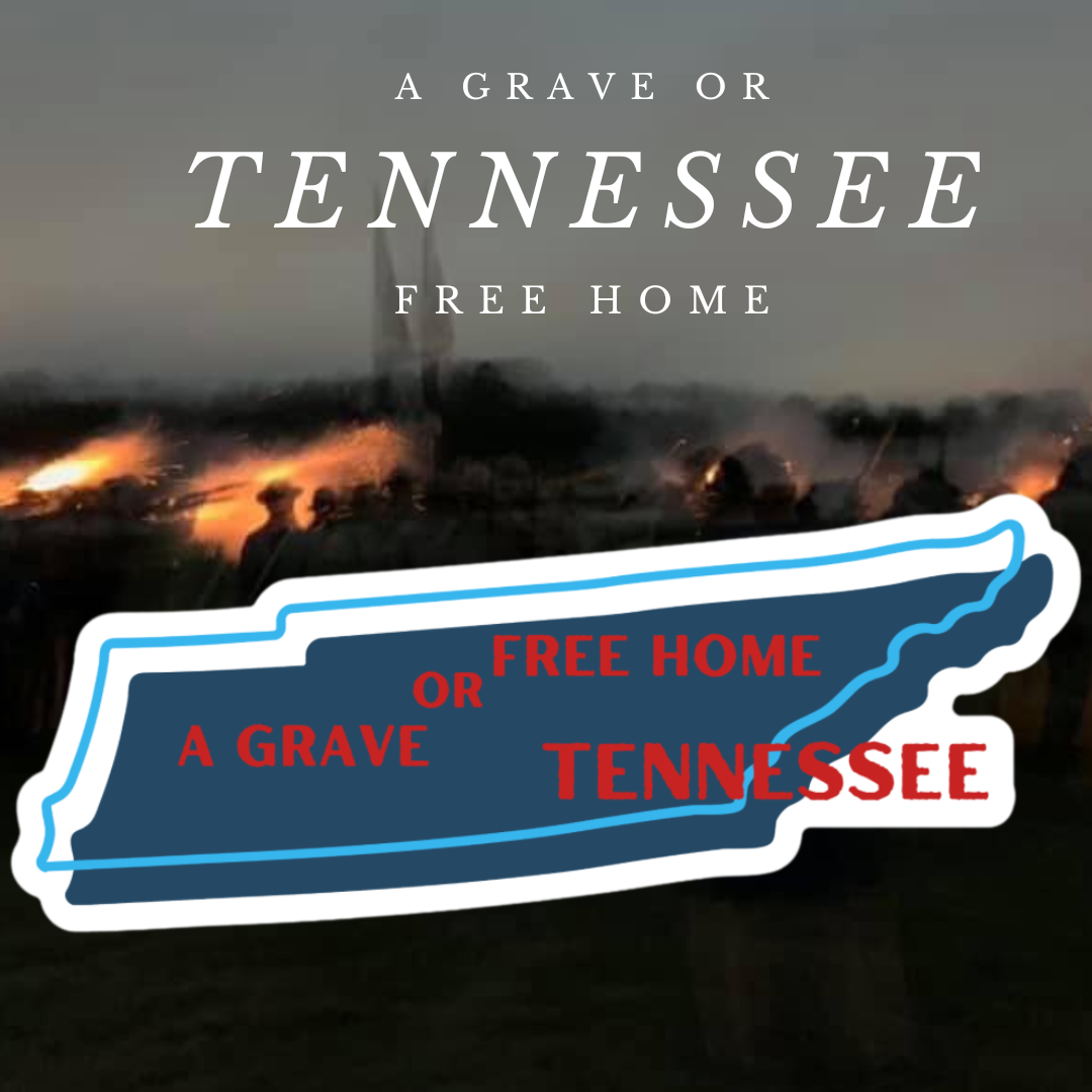 "Tennessee A Grave or Free Home" Tennessee Stickers