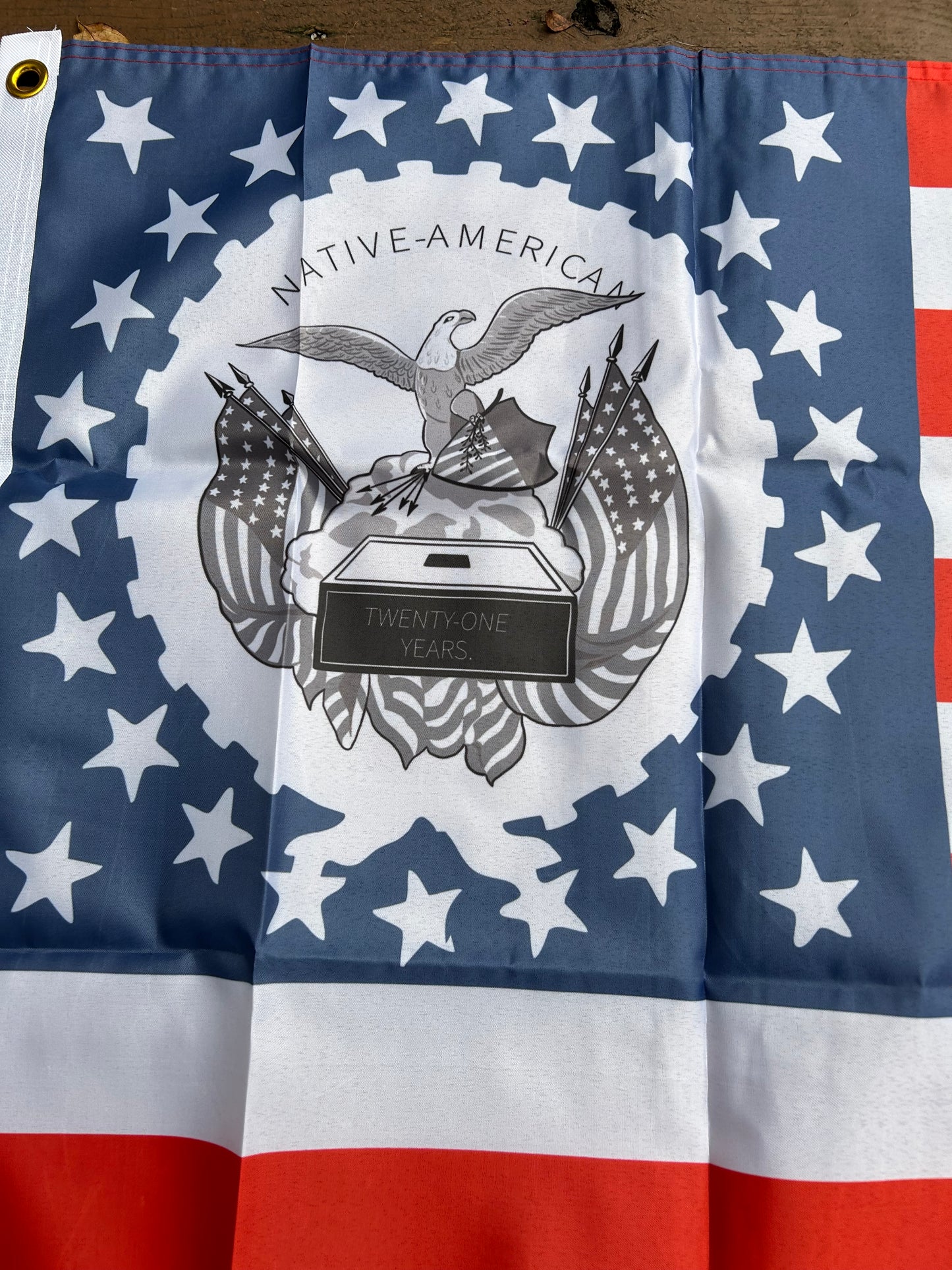 "Beware of Foreign Influence" - Know Nothing Party Flag