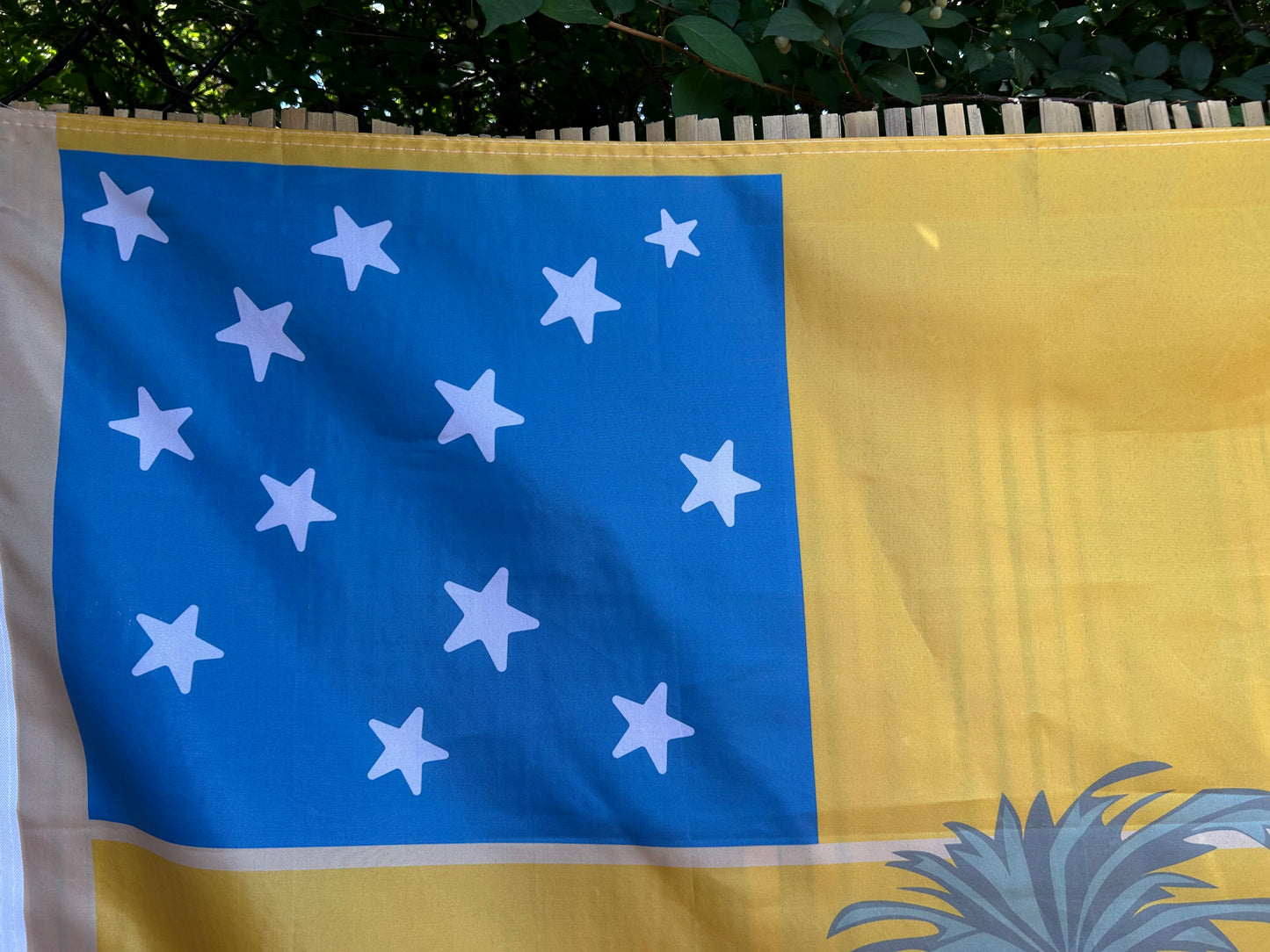 "3rd Virginia Detachment" Flag