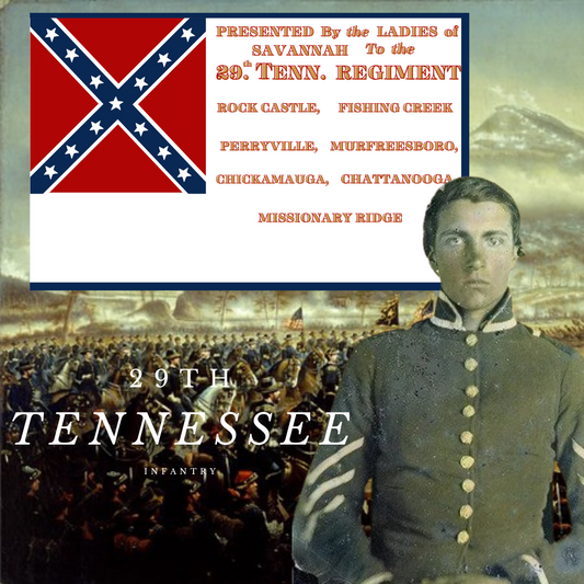 29th Tennessee Infantry House Flag