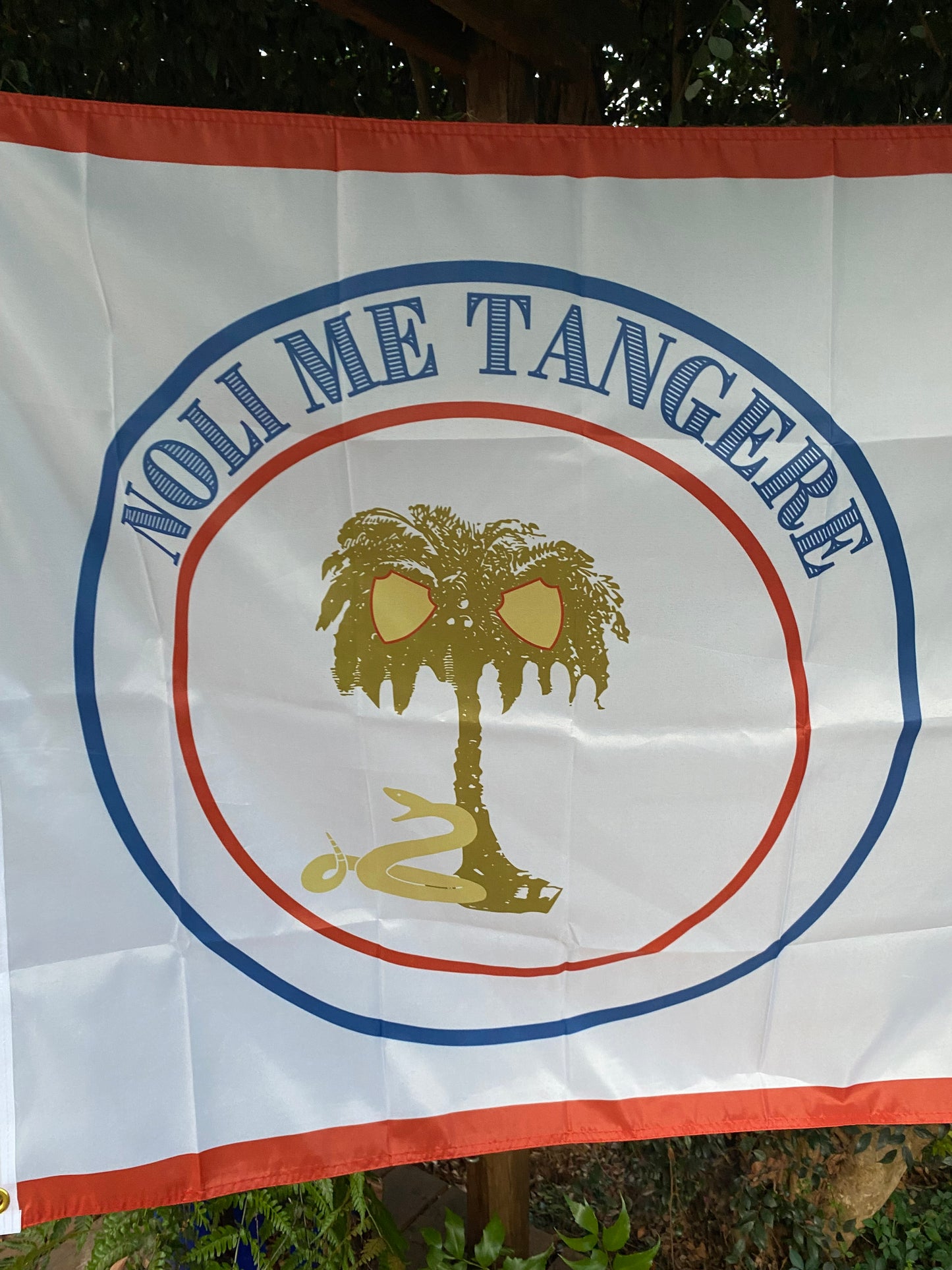 "Noli me tangere" Touch me not - Missouri Secession House Flag