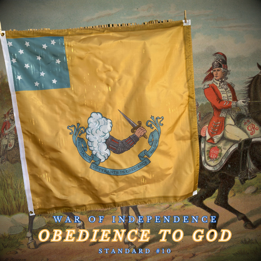 "Resistance to Tyrants is Obedience to God" Gostelowe Standard #10 Flag