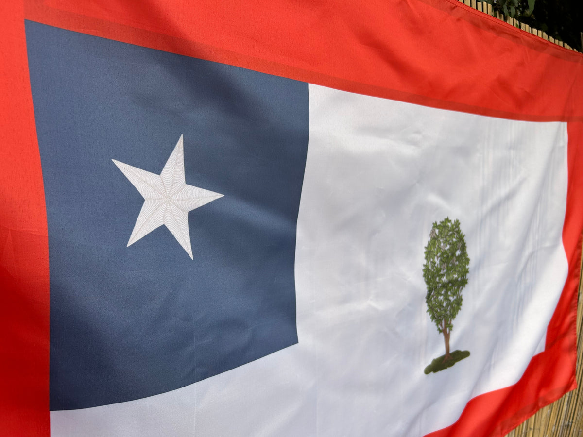 Republic of Mississippi  Flag - Booneville