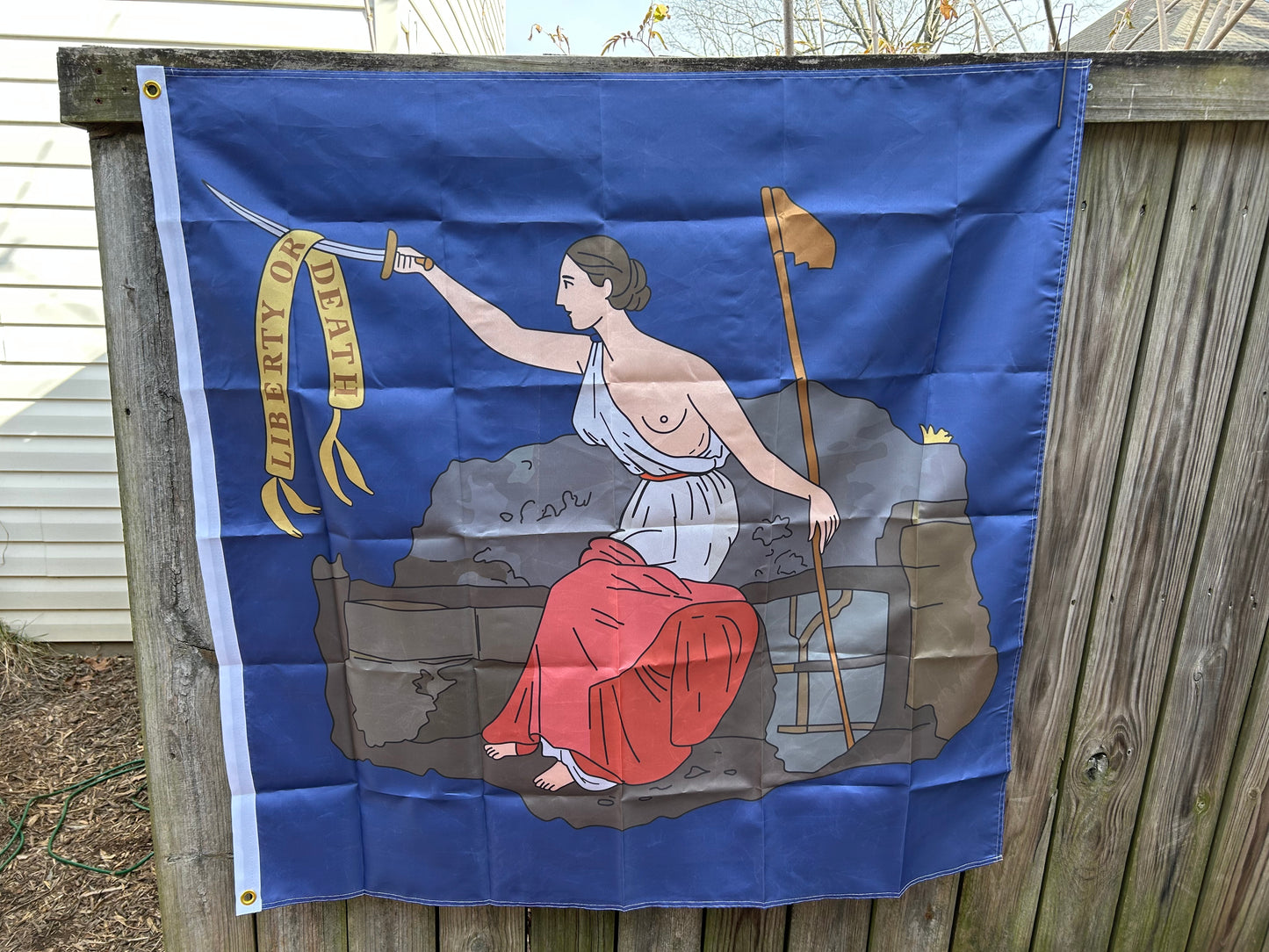 San Jacinto Texas Revoultion Flag