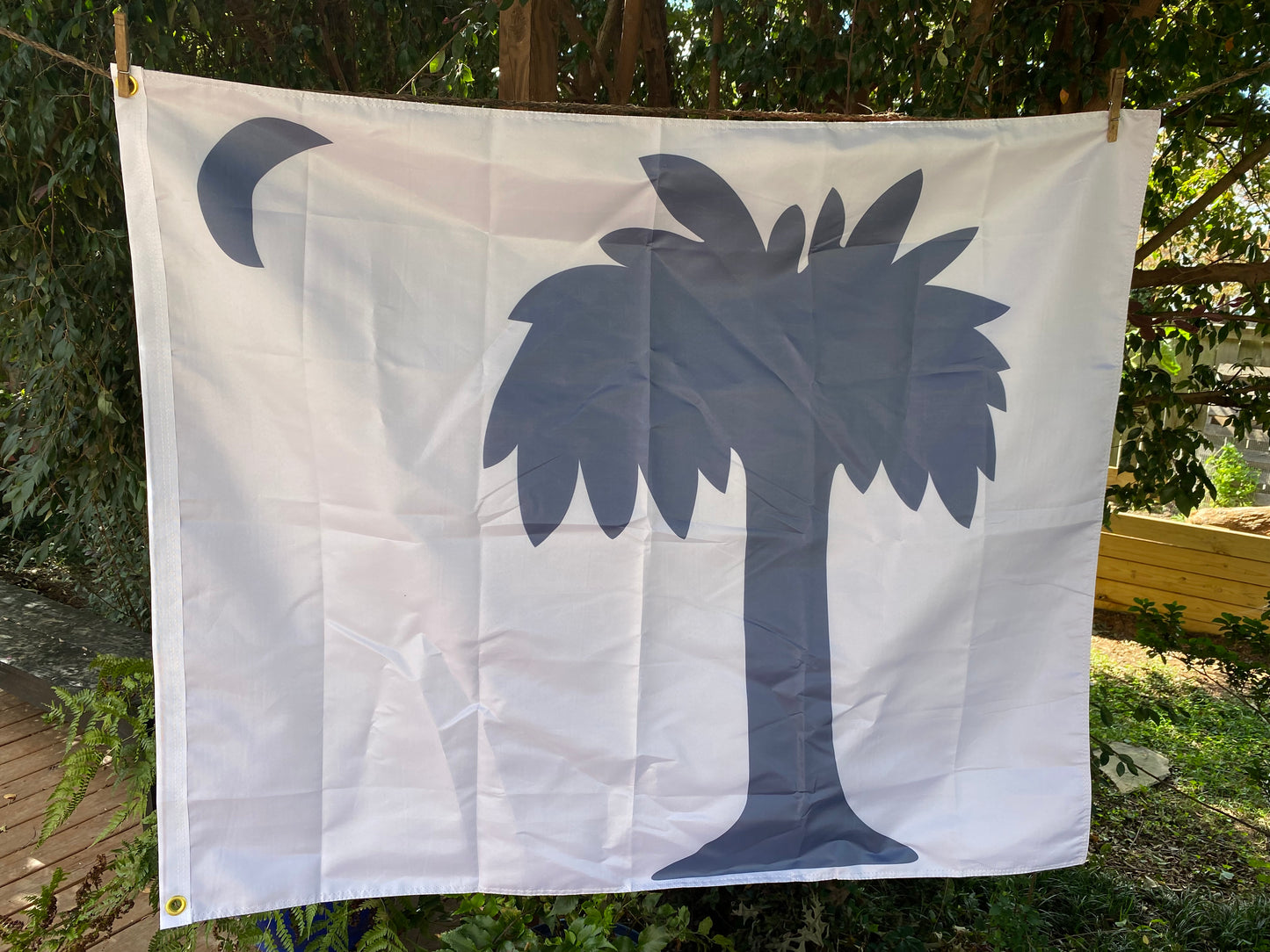 South Carolina Secession/1st National Flag House Flag