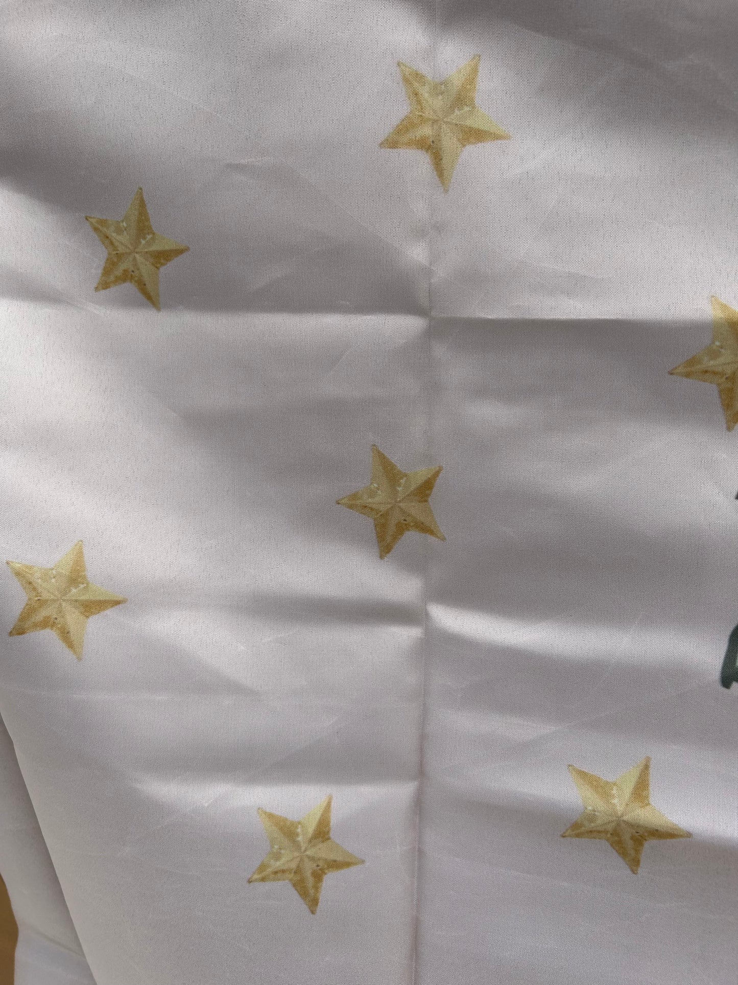 1st South Carolina Volunteers - Company O - Saluda Guards Flag