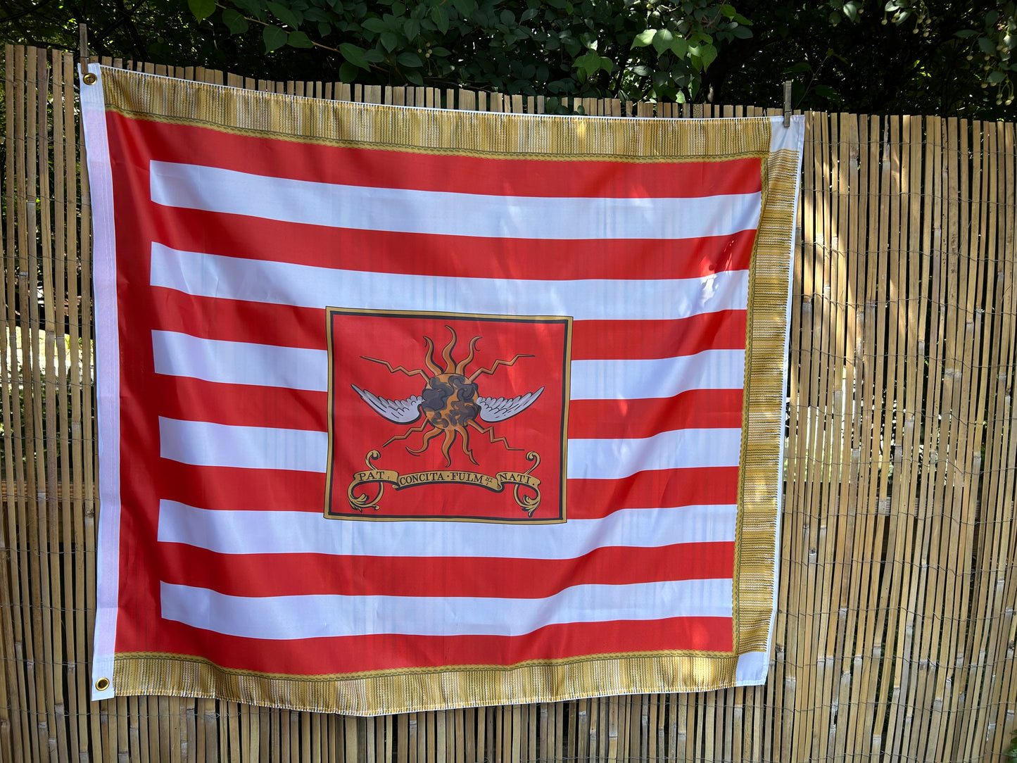 2nd Continental Light Dragoons 1779 Flag
