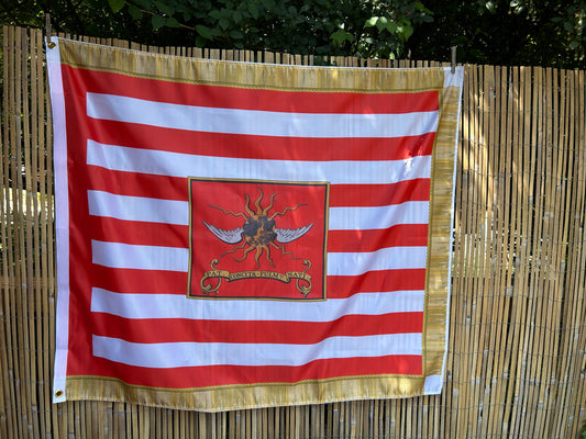 2nd Continental Light Dragoons 1779 Flag