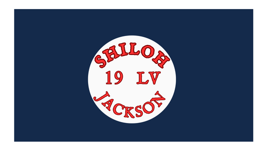 19th Louisiana Infantry Hardee Flag