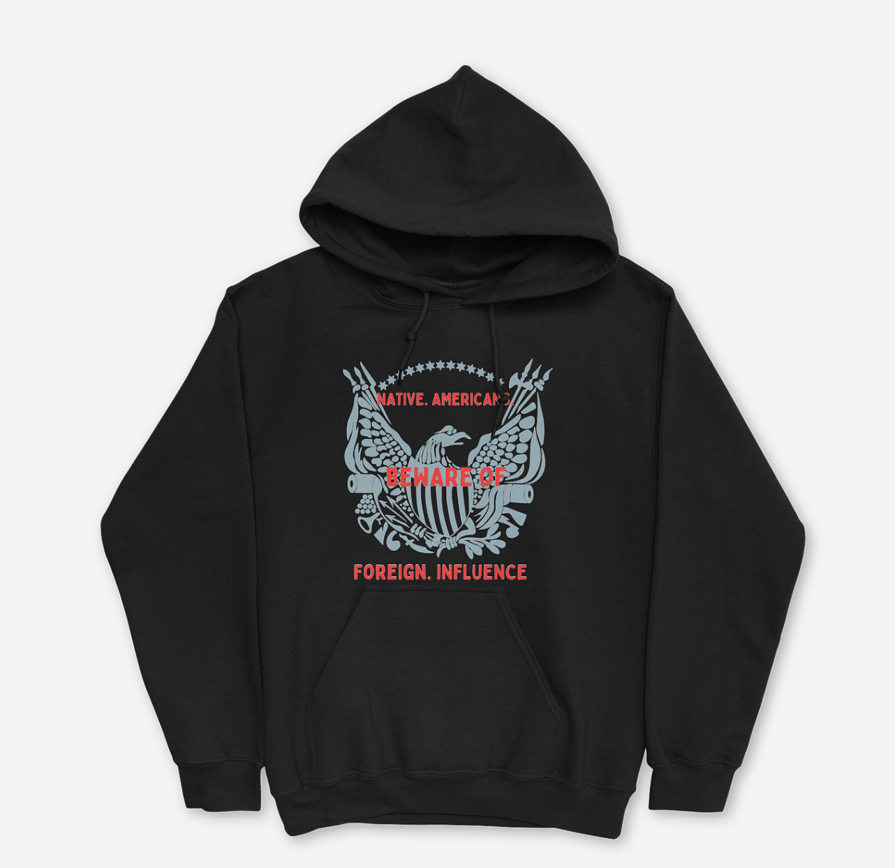 "Beware of Foreign Influence" Hoodie