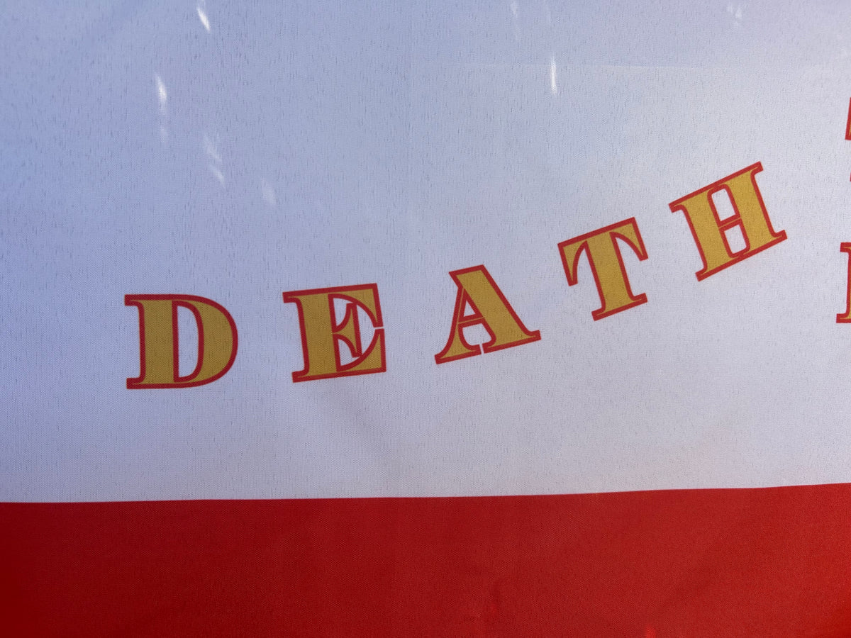 "Death to Invaders" 44th Tennessee 1st National House Flag