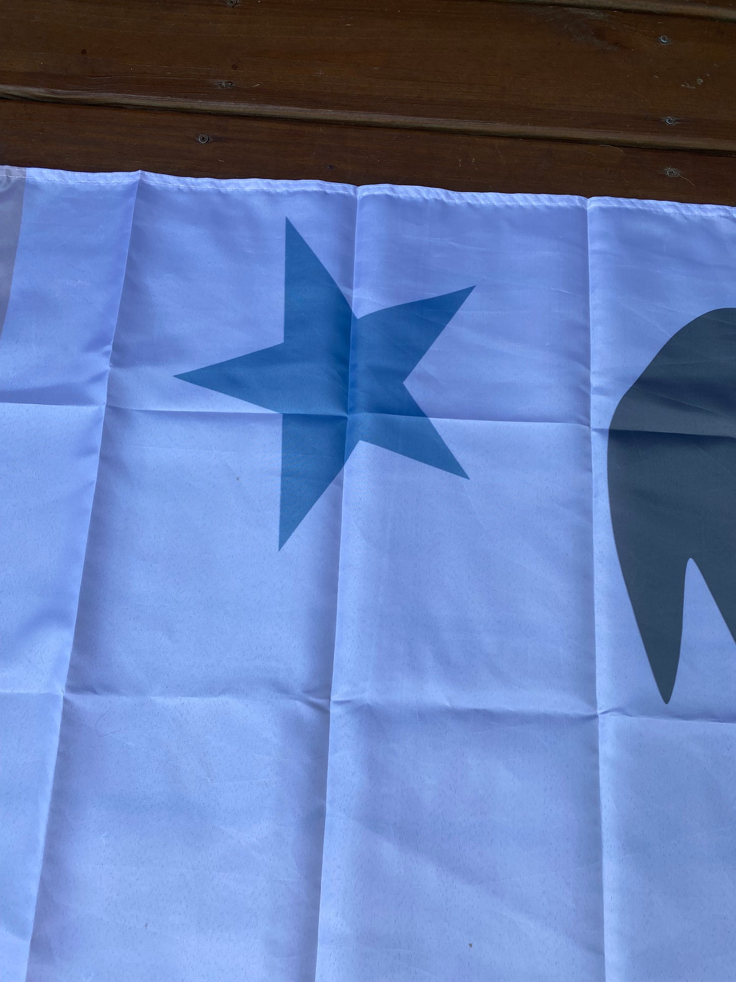 Palmetto Guards "Star Flag" House Flag