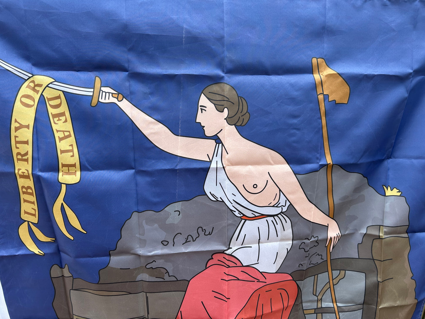 San Jacinto Texas Revoultion Flag