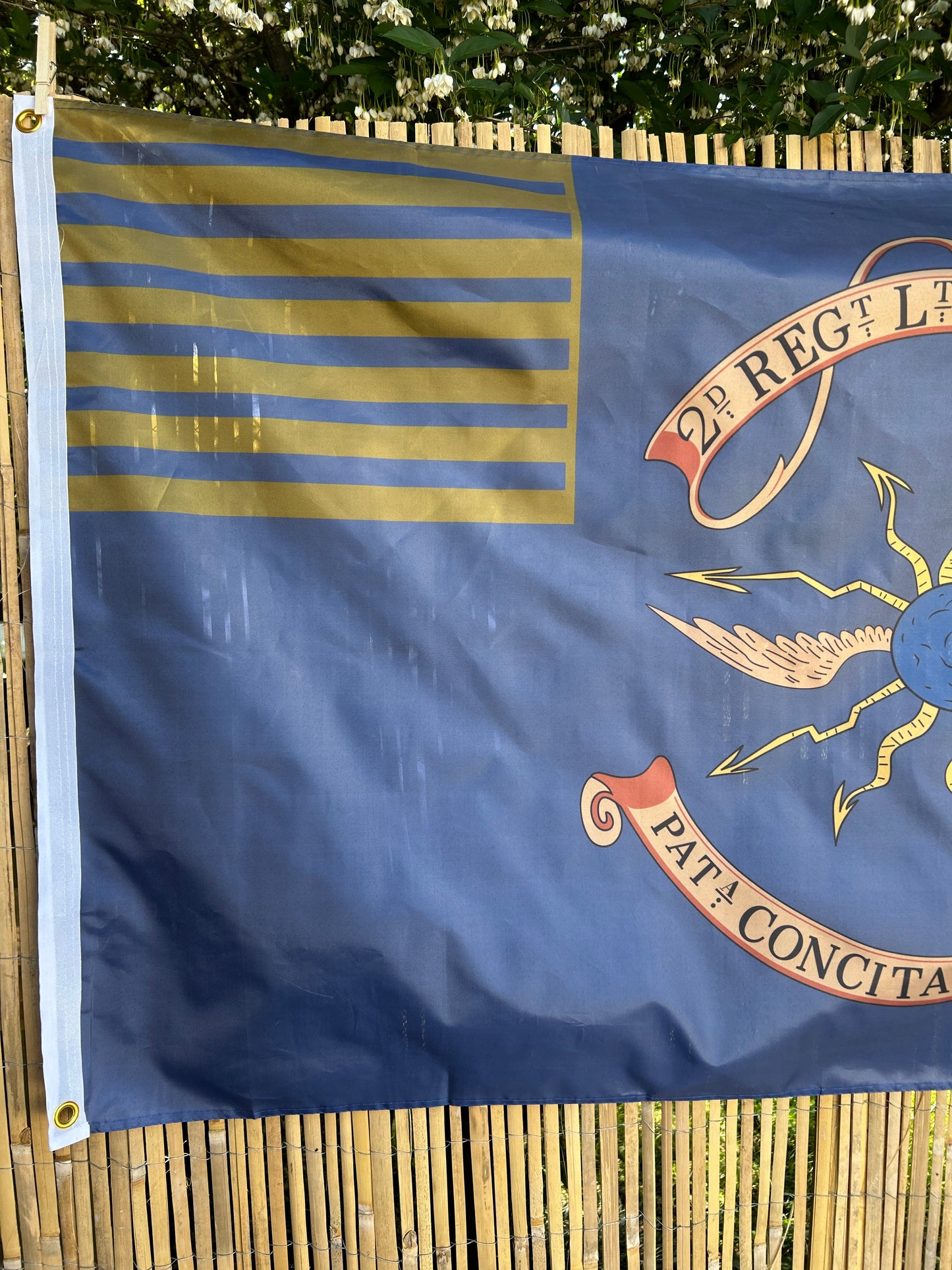 2nd Continental Light Dragoons Flag