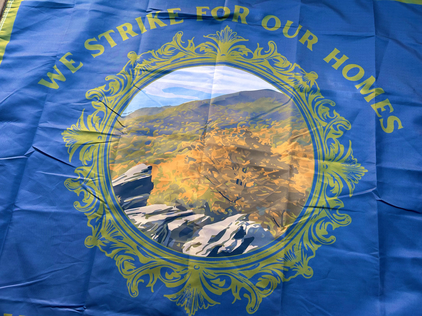 "We strike for our homes" - Company D  - 4th South Carolina Flag