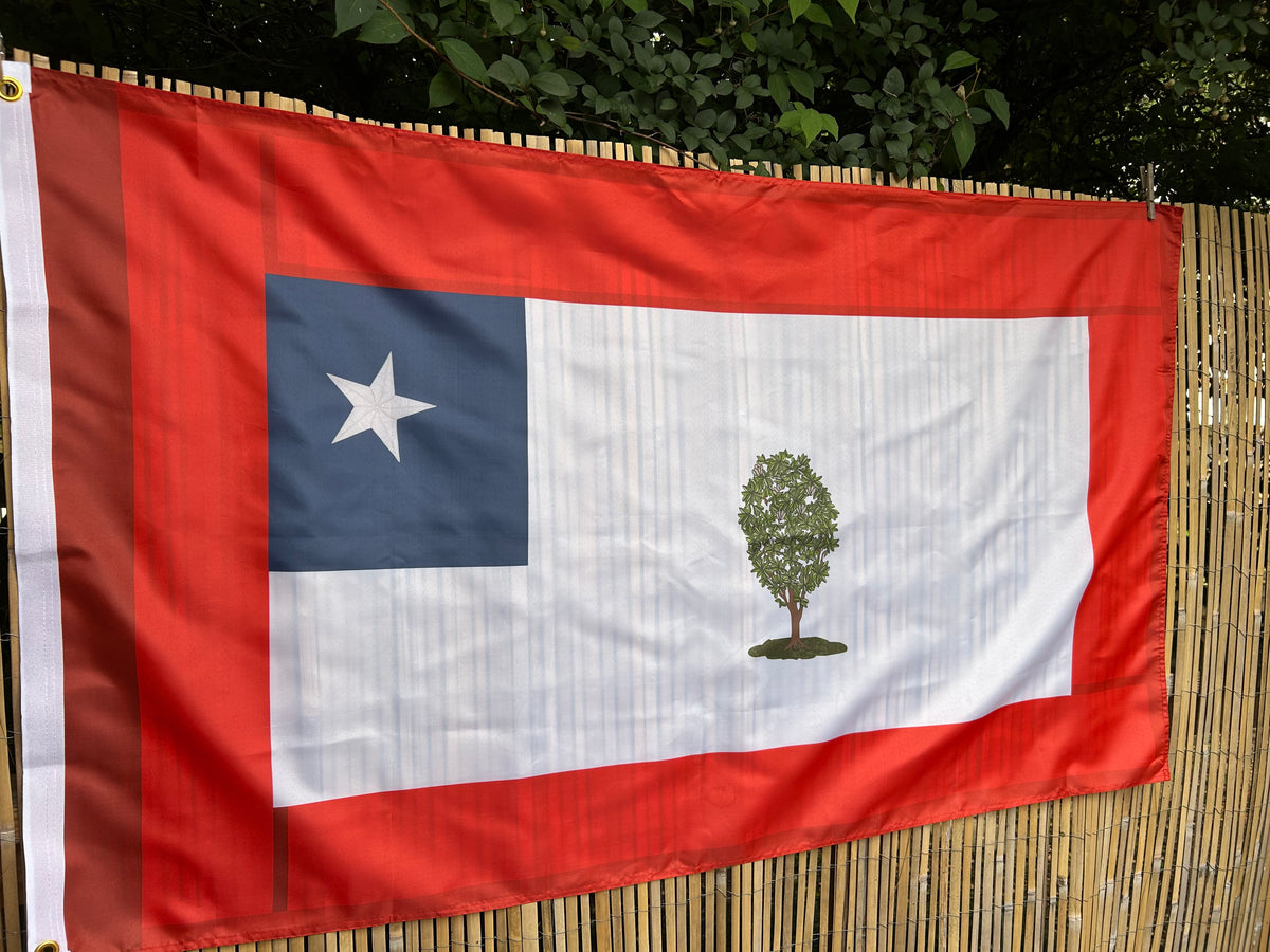 Republic of Mississippi  Flag - Booneville
