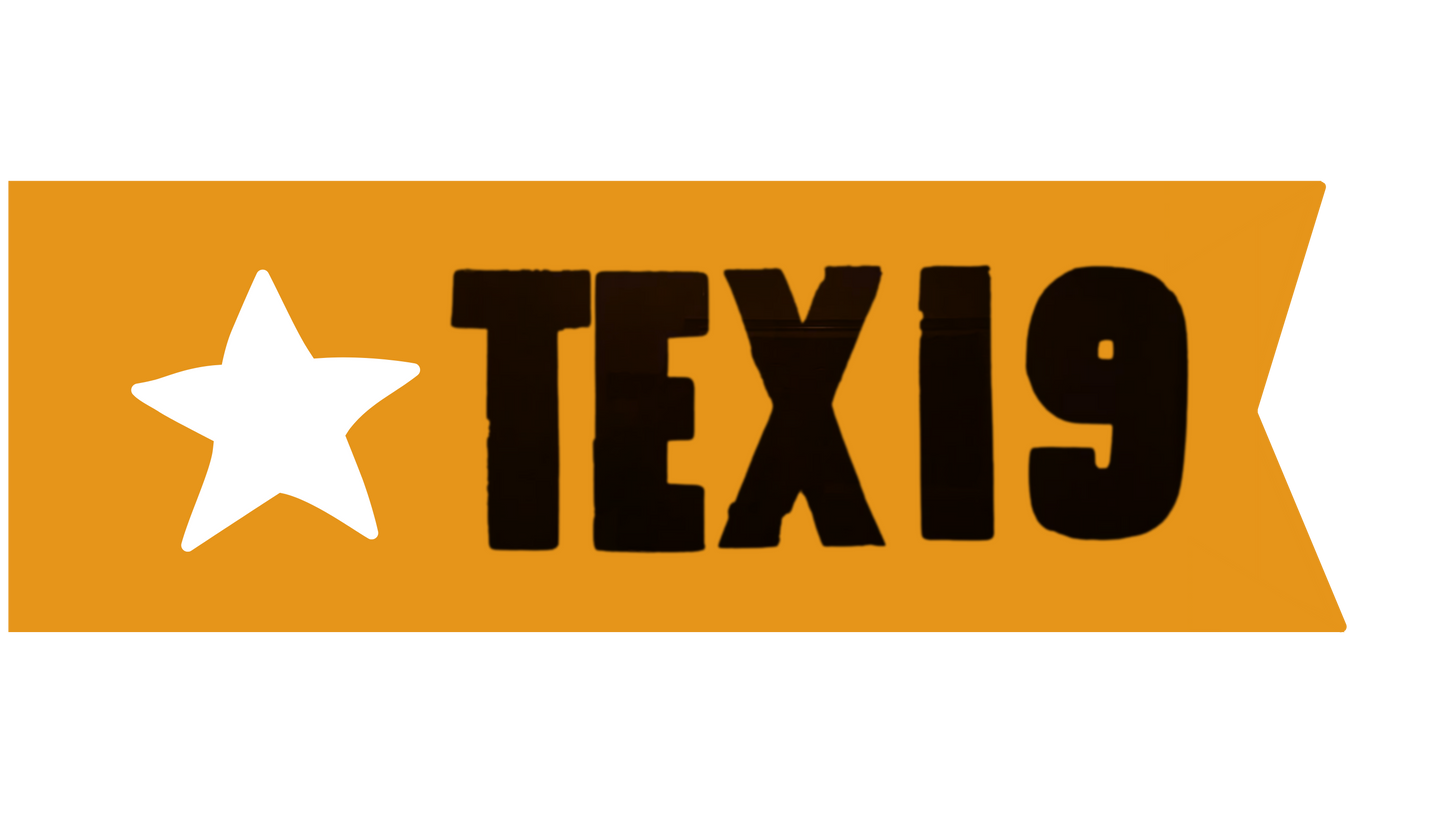 19th Texas Cavalry Flag Stickers/Magnets