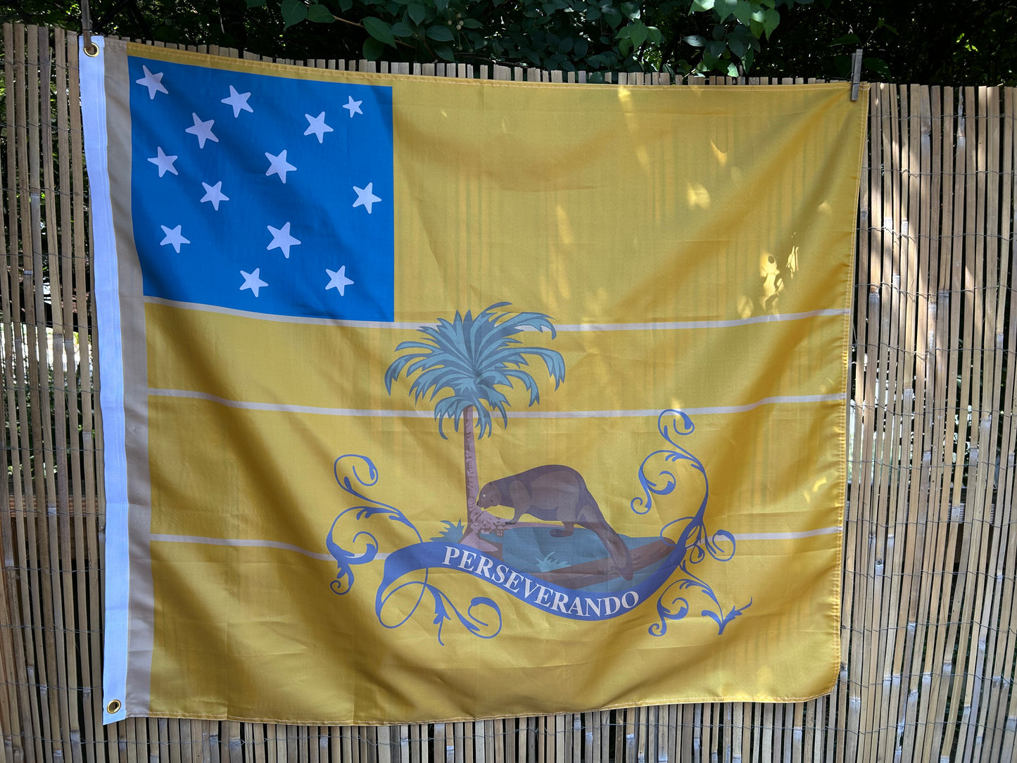 "3rd Virginia Detachment" Flag