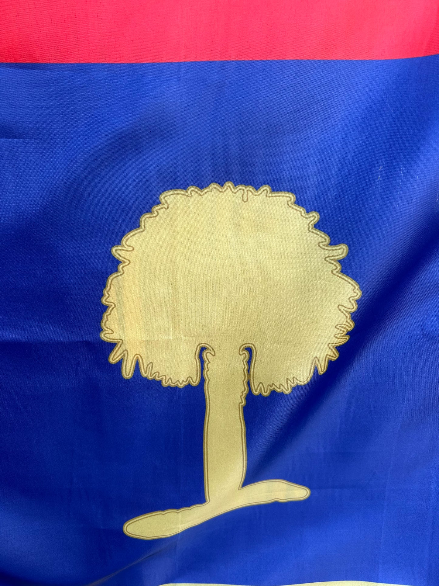 Marion Artillery (South Carolina) Flag