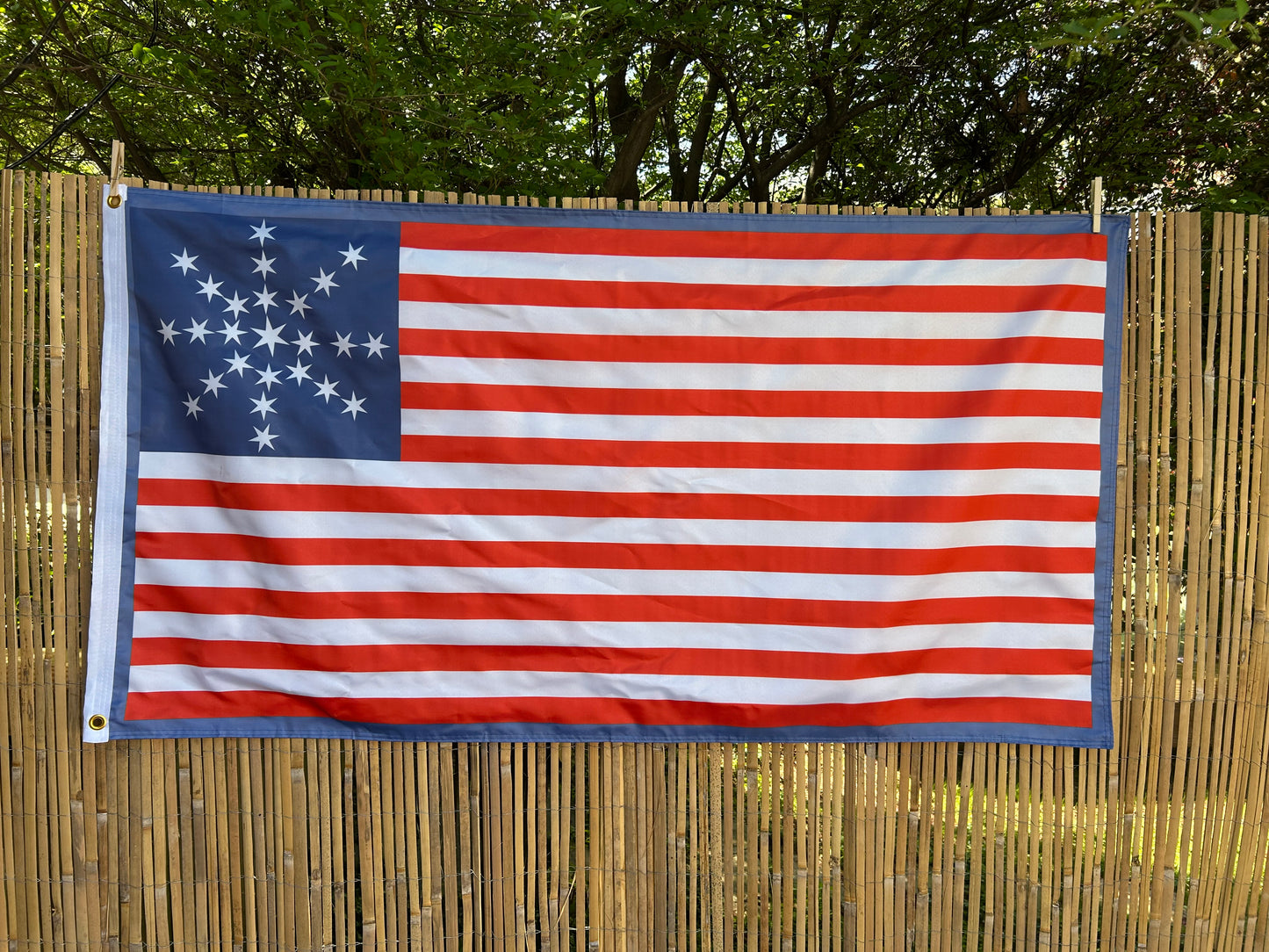 "Gird, gird for the conflict our banner wave high!" 1st Missouri Volunteers Seminole War Flag