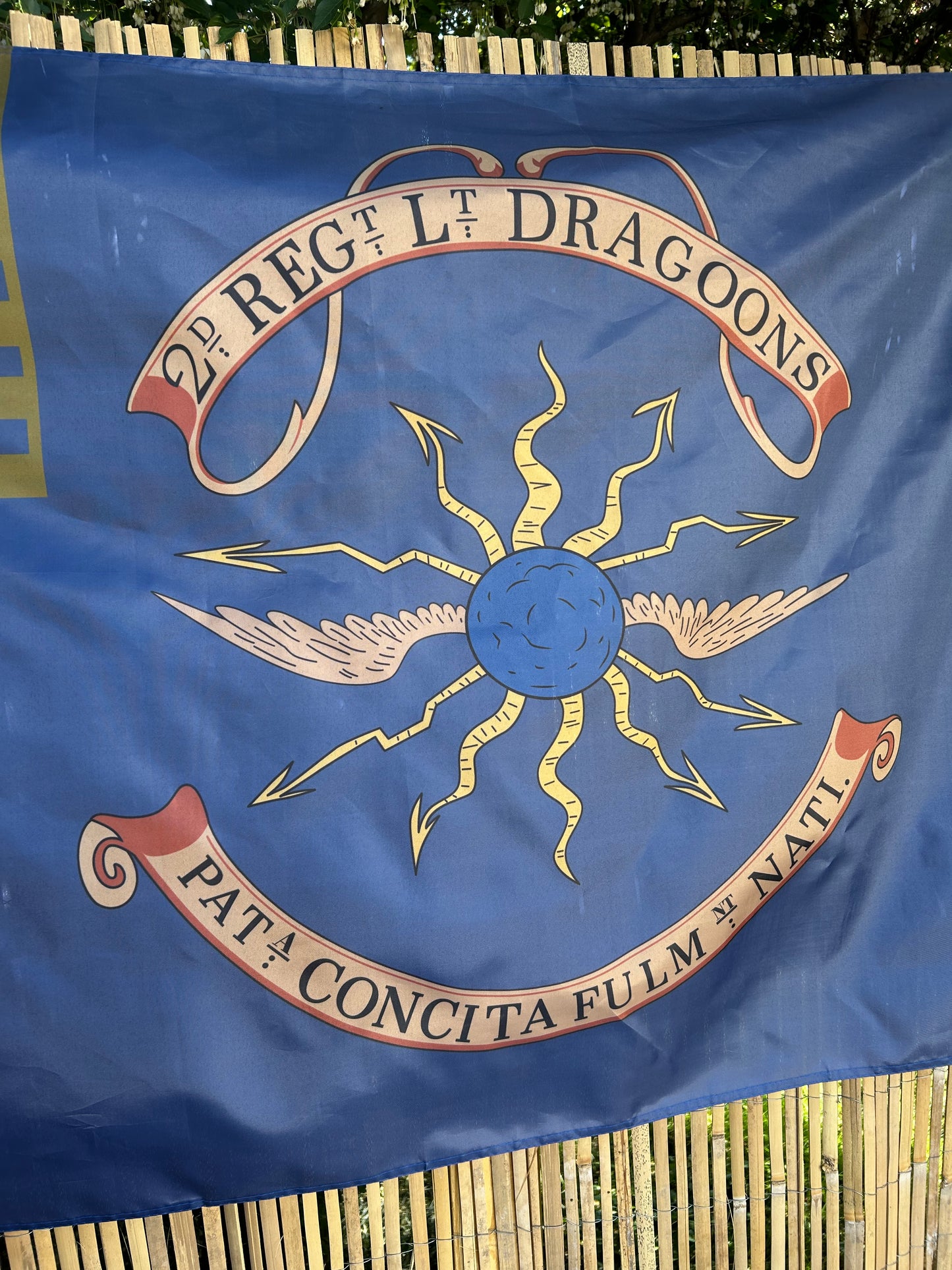 2nd Continental Light Dragoons Flag