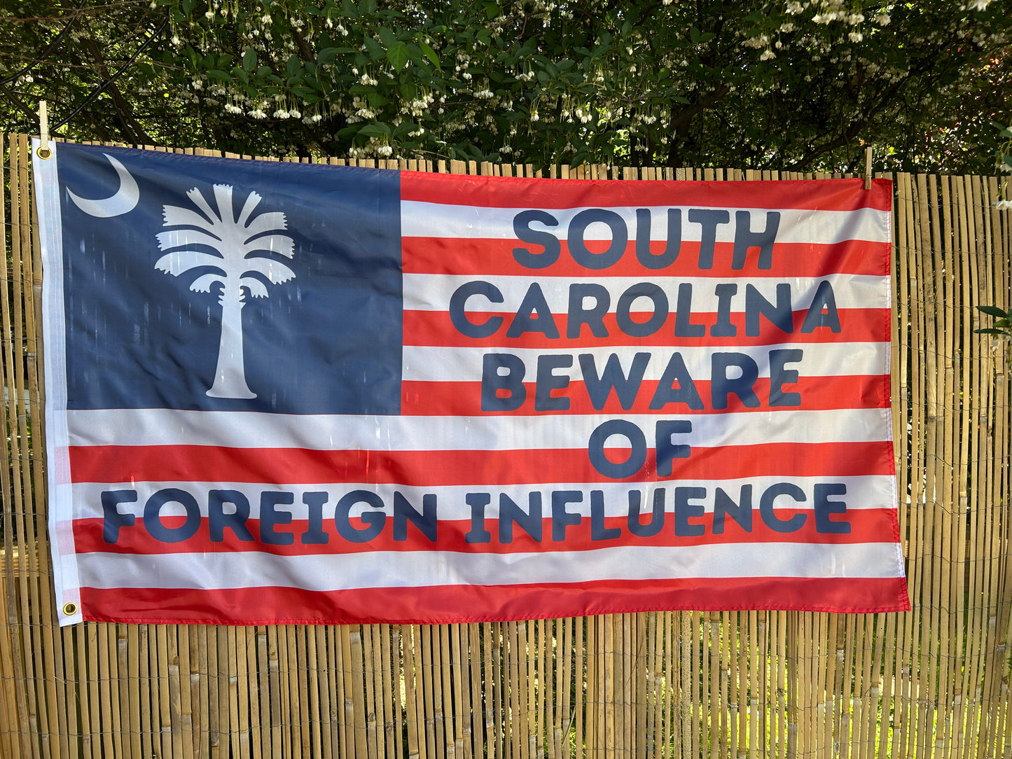 "South Carolina Beware of Foreign Influence" Flag