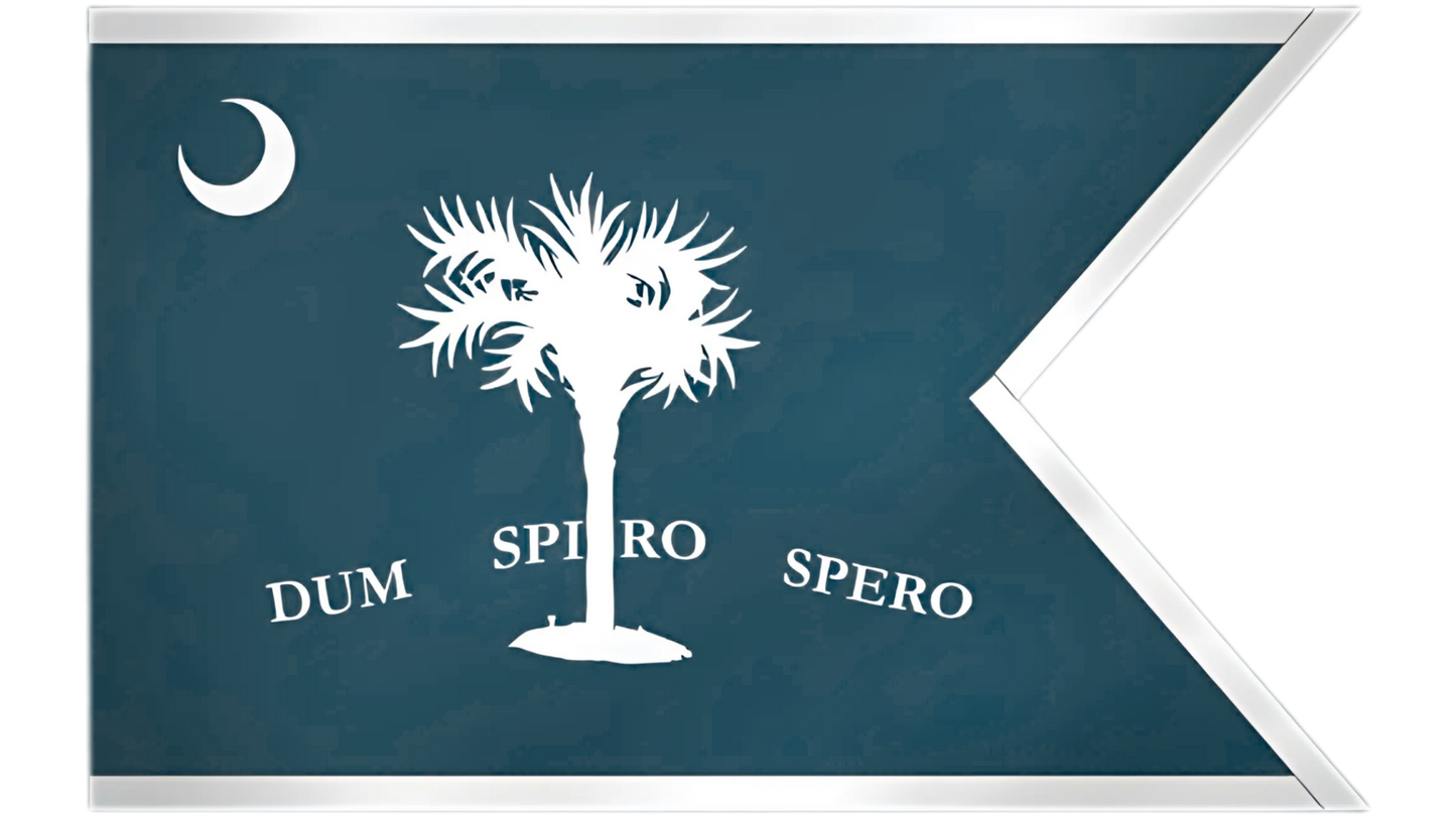 2nd South Carolina Cavalry Flag