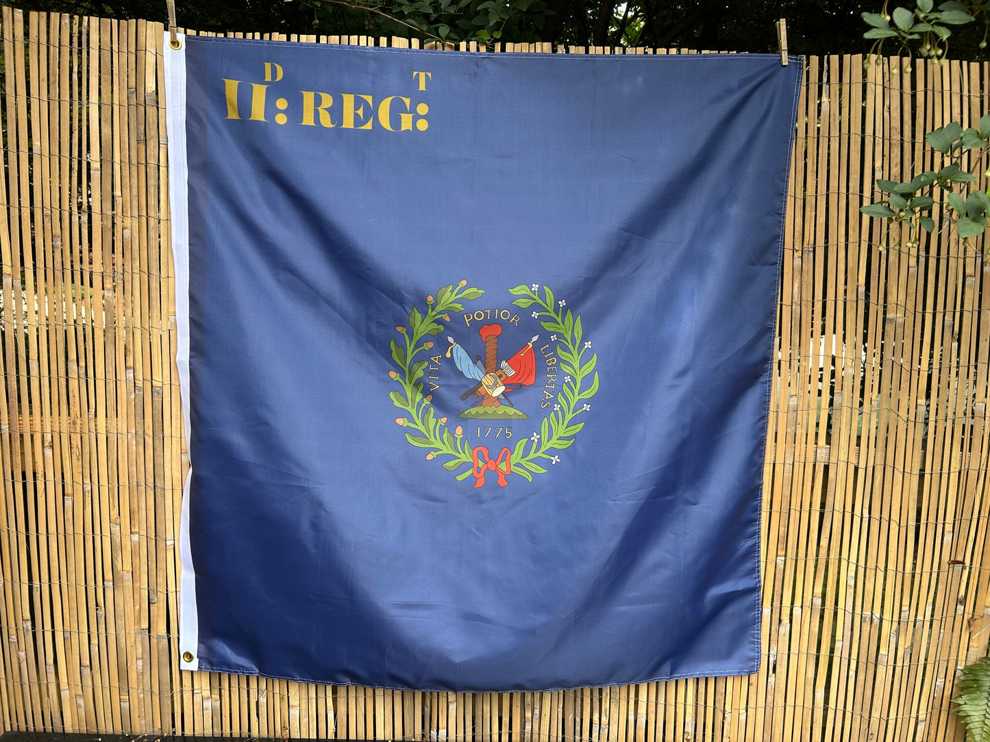 "Liberty rather than life" - 2nd South Carolina Regiment Flag