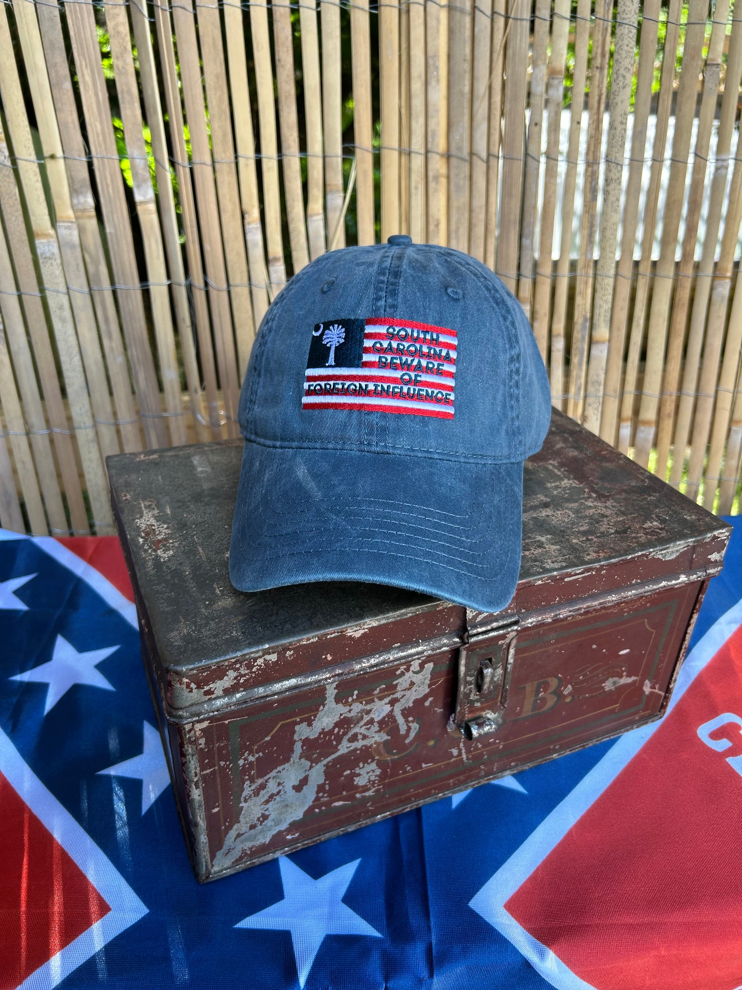 South Carolina Beware of Foreign Influence Cap