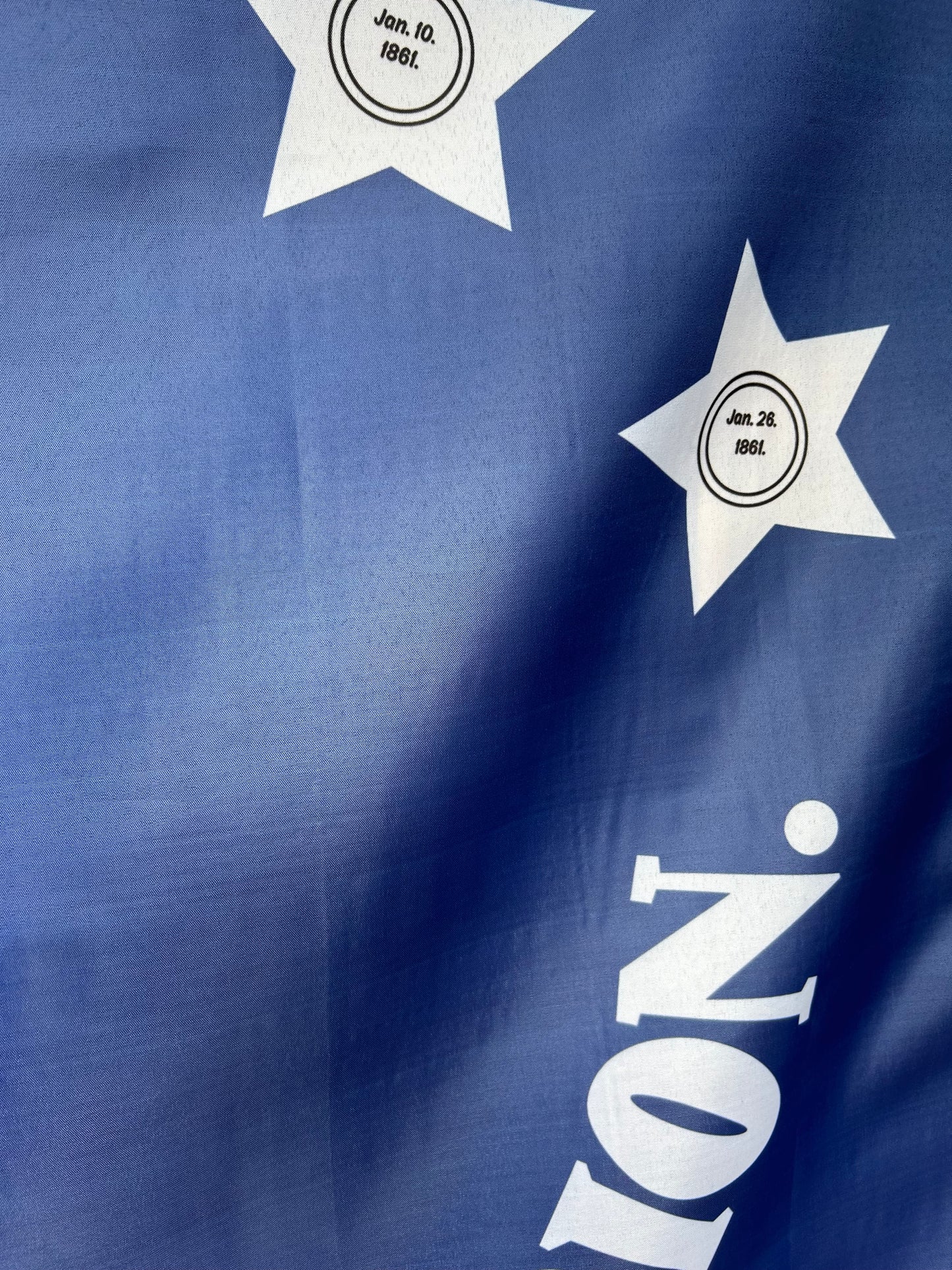 "Any Fate But Submission" 3rd Florida Infantry Flag