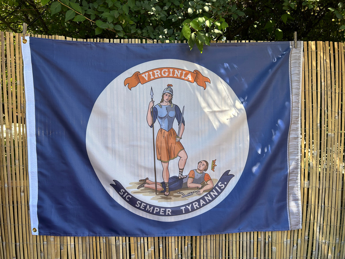 9th Virginia Infantry  Flag