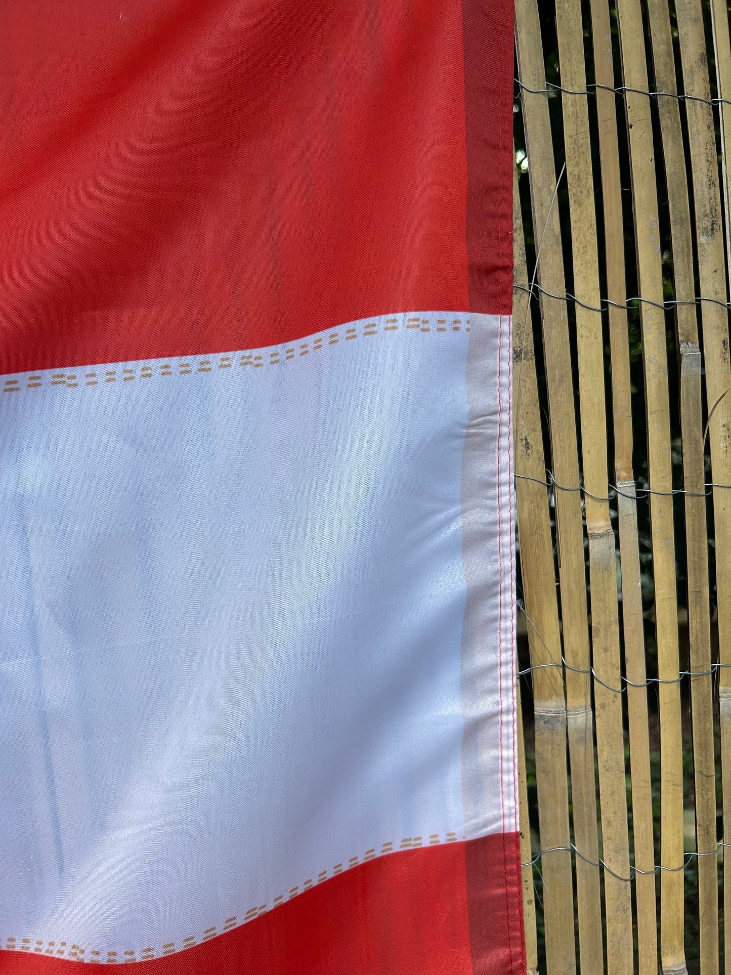 Cairo, Missouri Flag