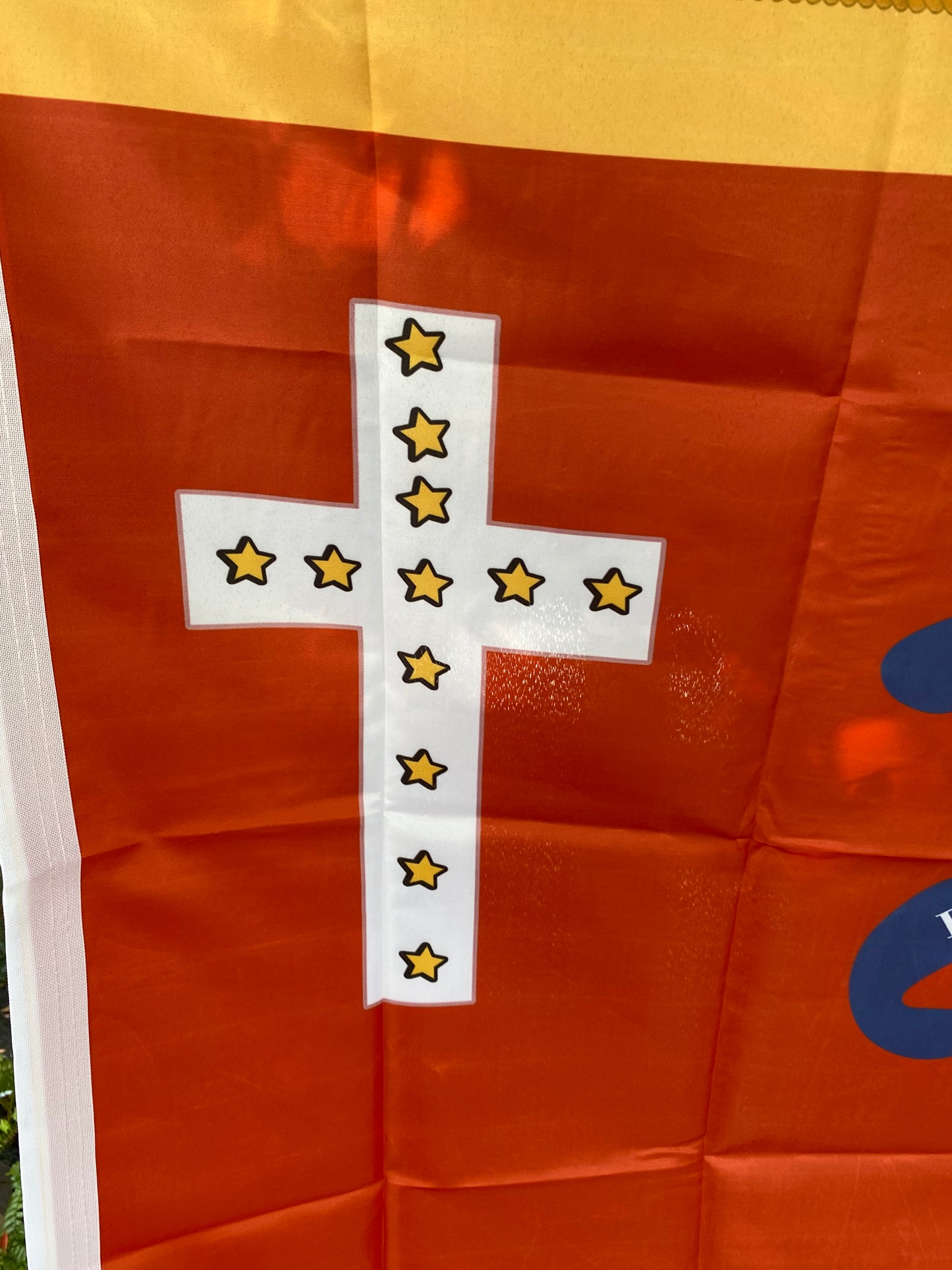 3rd Louisiana Infantry (Cross) House Flag