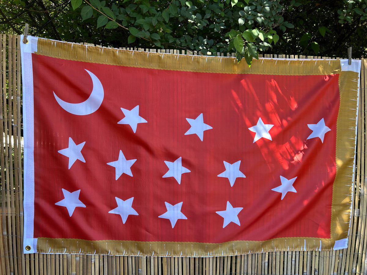 4th Missouri House Flag