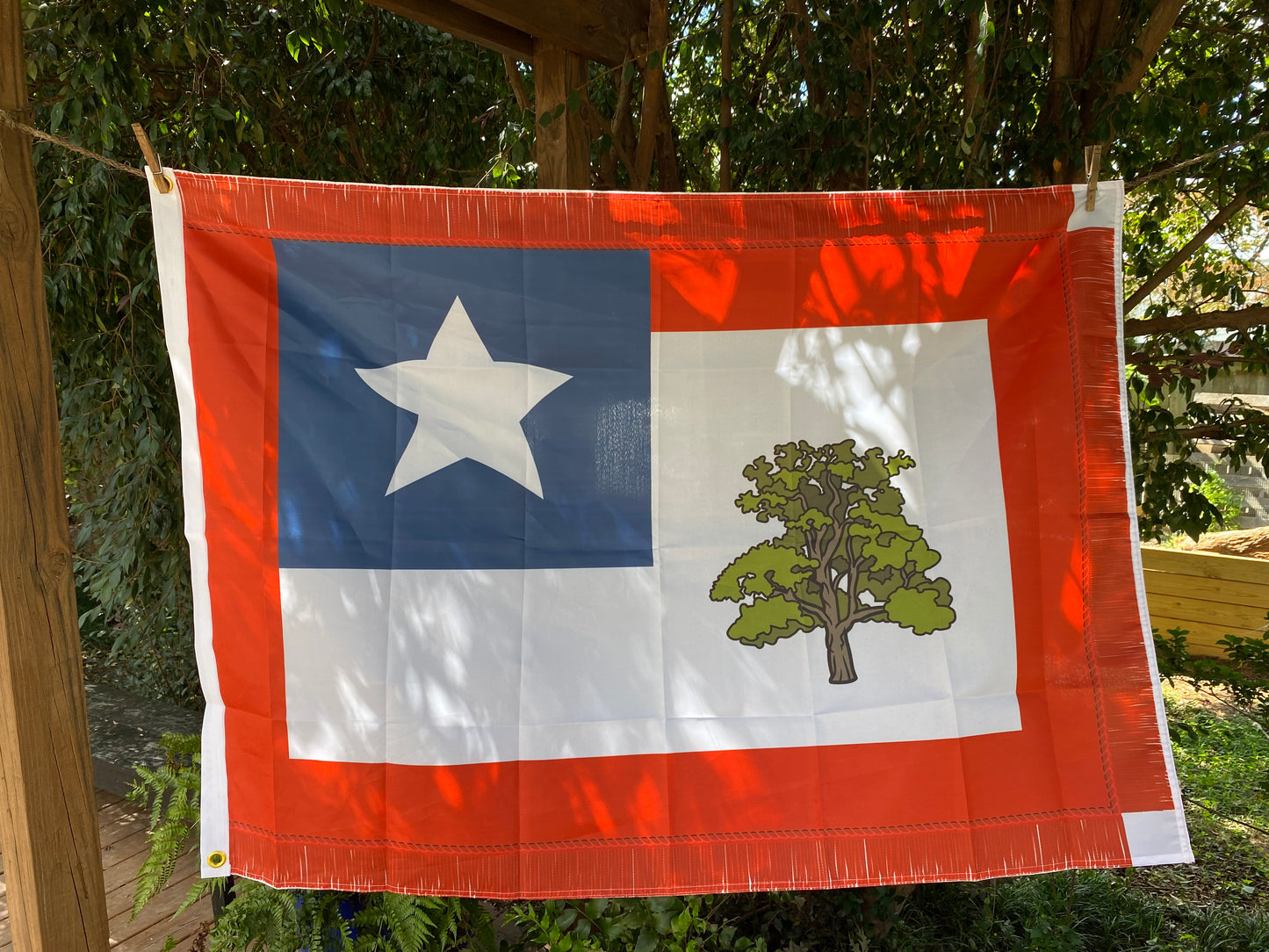 1st Mississippi Cavalry House Flag